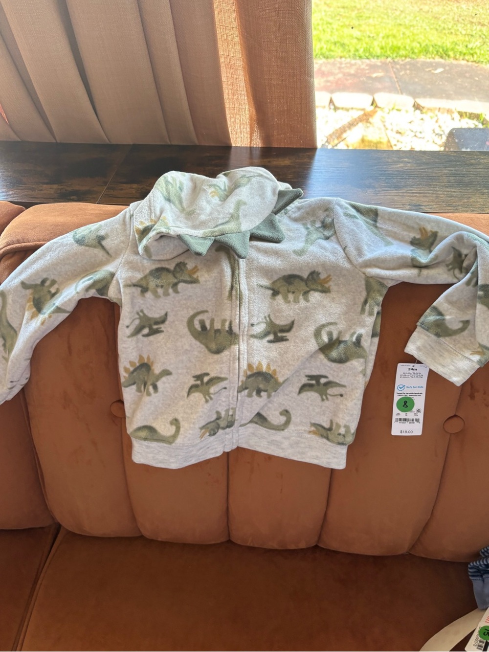 Carter's Gray Hooded Zip Sweatshirt with Green Dino Print